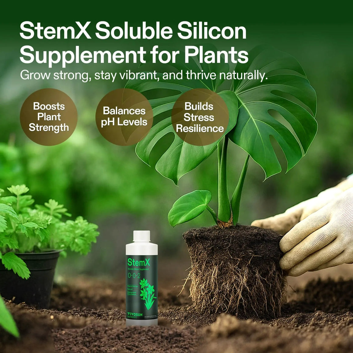 Vivosun StemX Soluble Silicon Supplement for plants: boosts strength, balances pH, builds stress resilience.