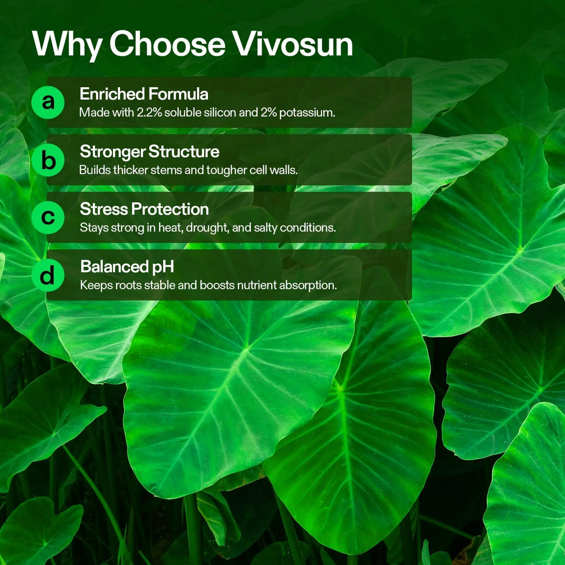 Green leaves with text overlay: "Why Choose Vivosun" and points about enriched formula, stronger structure, stress protection, and balanced pH.