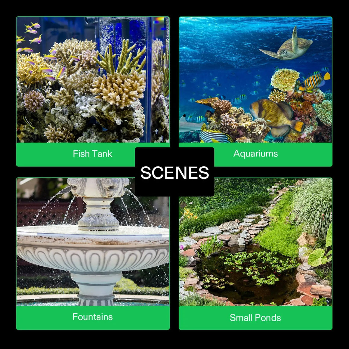 Collection of four scenes: fish tank with coral, ocean aquarium with sea turtle, ornate fountain, and a small garden pond with lily pads.