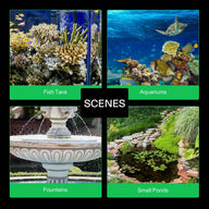 Collection of four scenes: fish tank with coral, ocean aquarium with sea turtle, ornate fountain, and a small garden pond with lily pads.