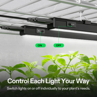 Vivosun T5 2FT LED grow lights with individual on/off switches illuminate healthy green seedlings.