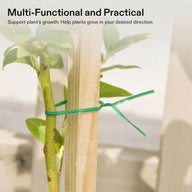 Green twist tie securing a plant stem to a wooden stake.