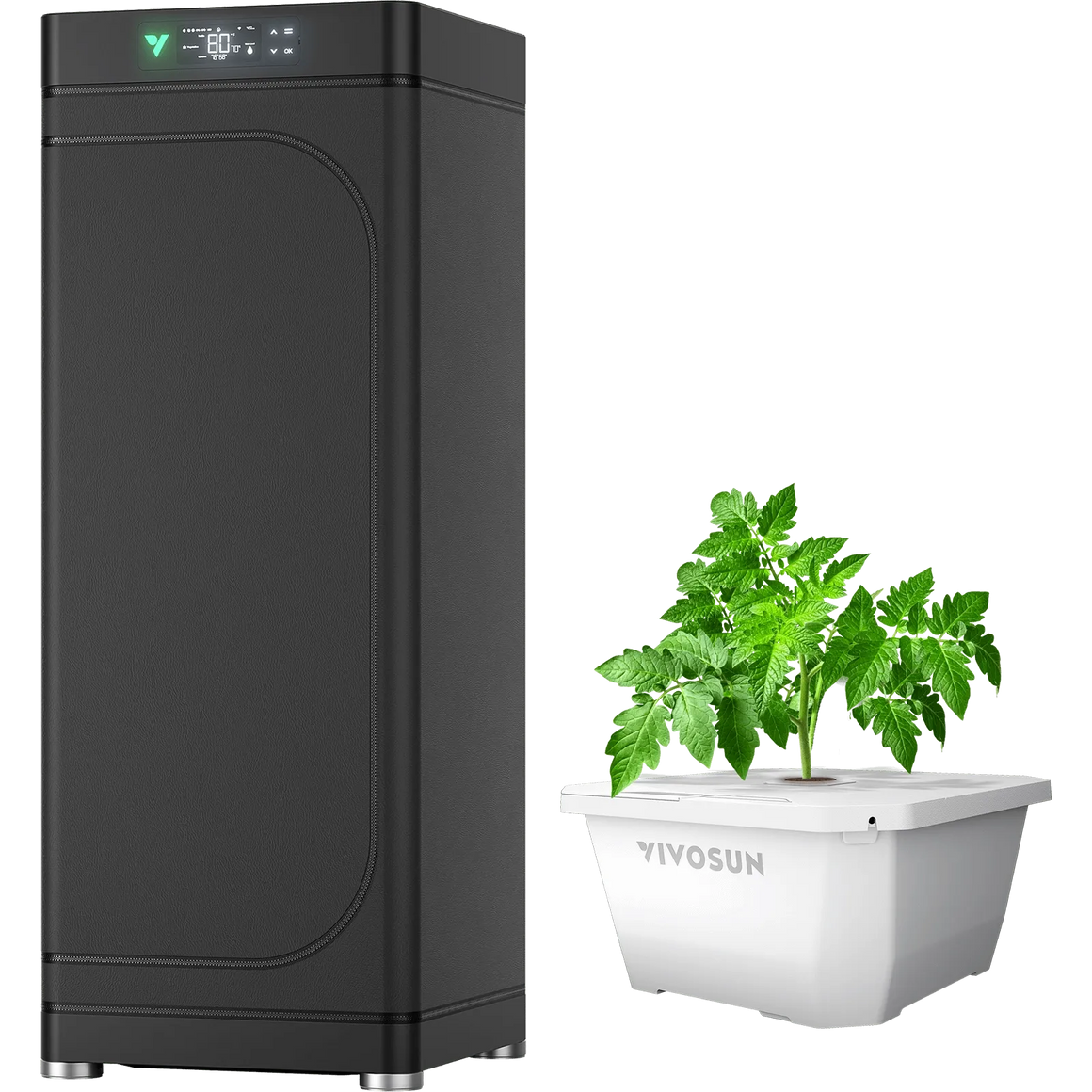 Vivosun DWC kit with a tomato plant and black grow tent.