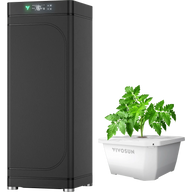 Vivosun DWC kit with a tomato plant and black grow tent.