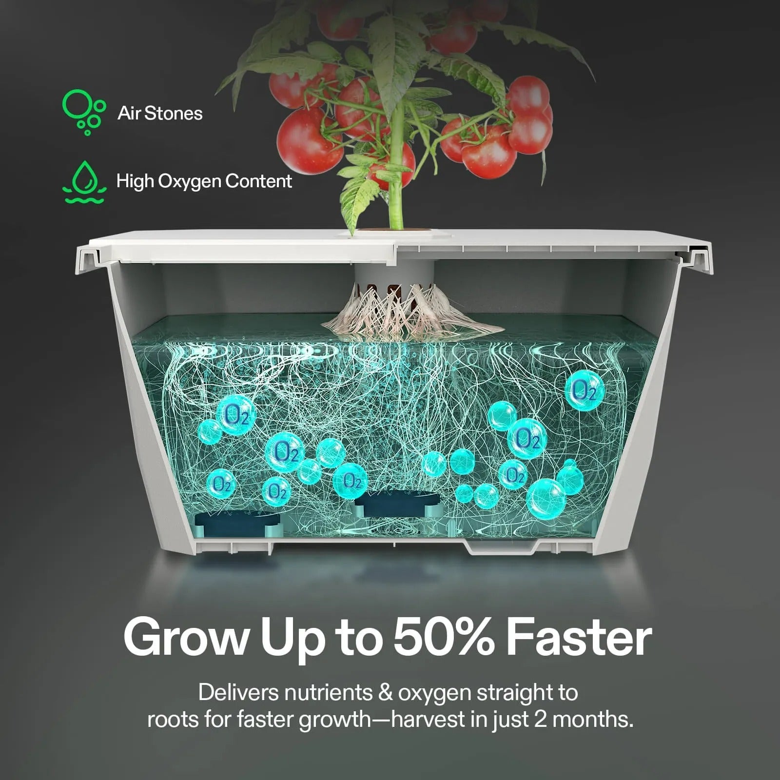VIVOSUN VGrow Smart Box & DWC Kit | 30-50% Faster Growth