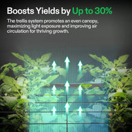 Vivosun VGrow Trellis Net for plants, boosting yields and improving airflow.