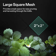 Vivosun trellis net for plants, large square mesh for easy pruning and harvesting. 2