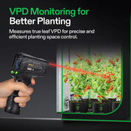 Vivosun VPD thermometer measures leaf temperature of tomato plants in a grow tent.