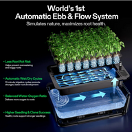 Illustration of an automatic ebb and flow hydroponic system with lush seedlings.