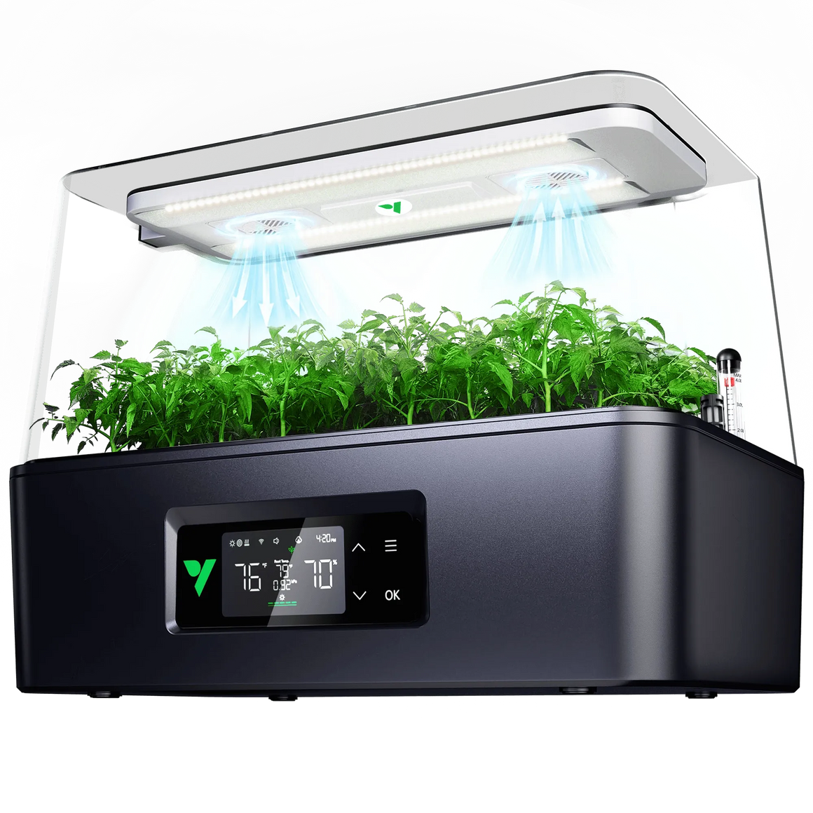 A smart hydroponic garden with thriving green tomato seedlings under LED grow lights.
