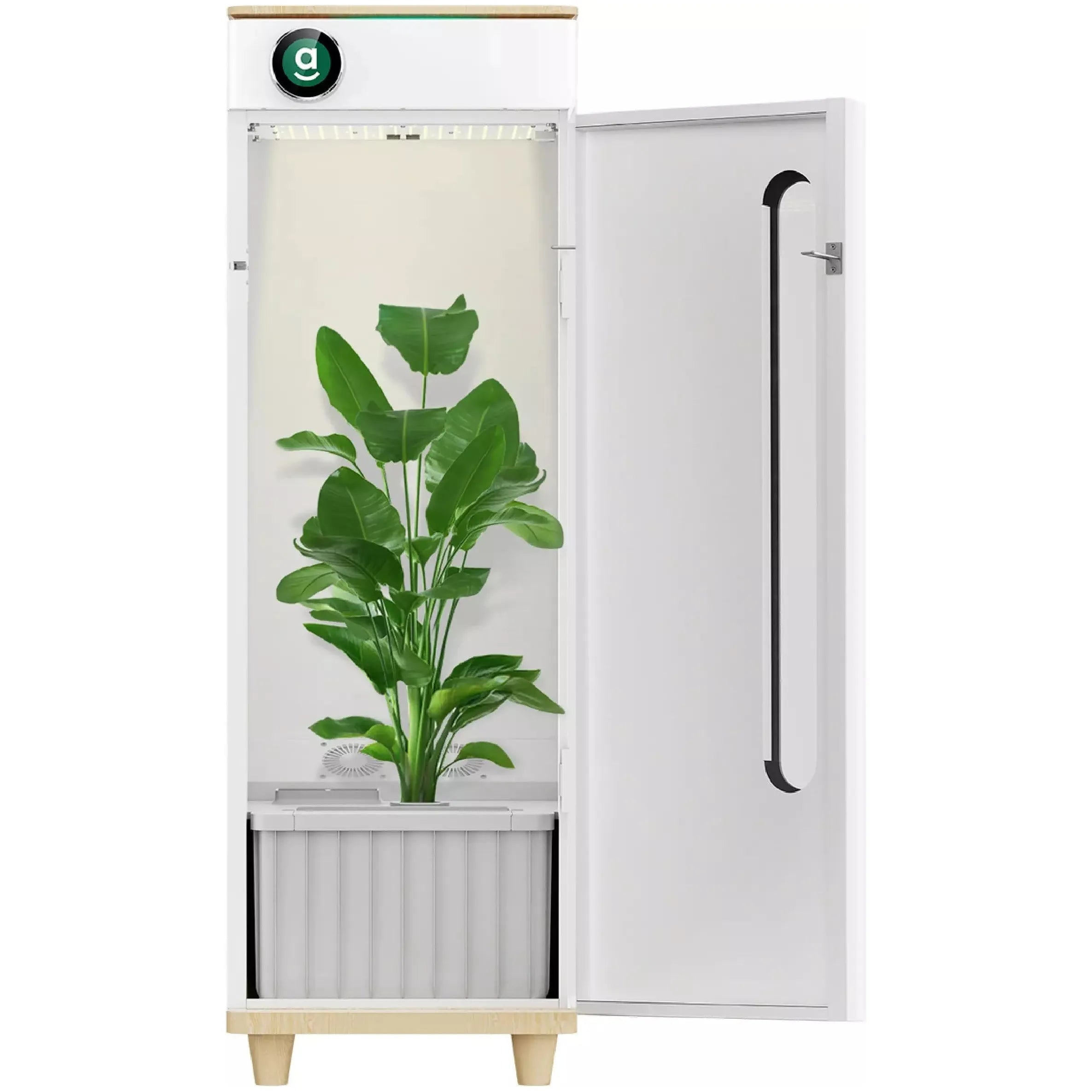 Hey abby OG Automated Grow Box System