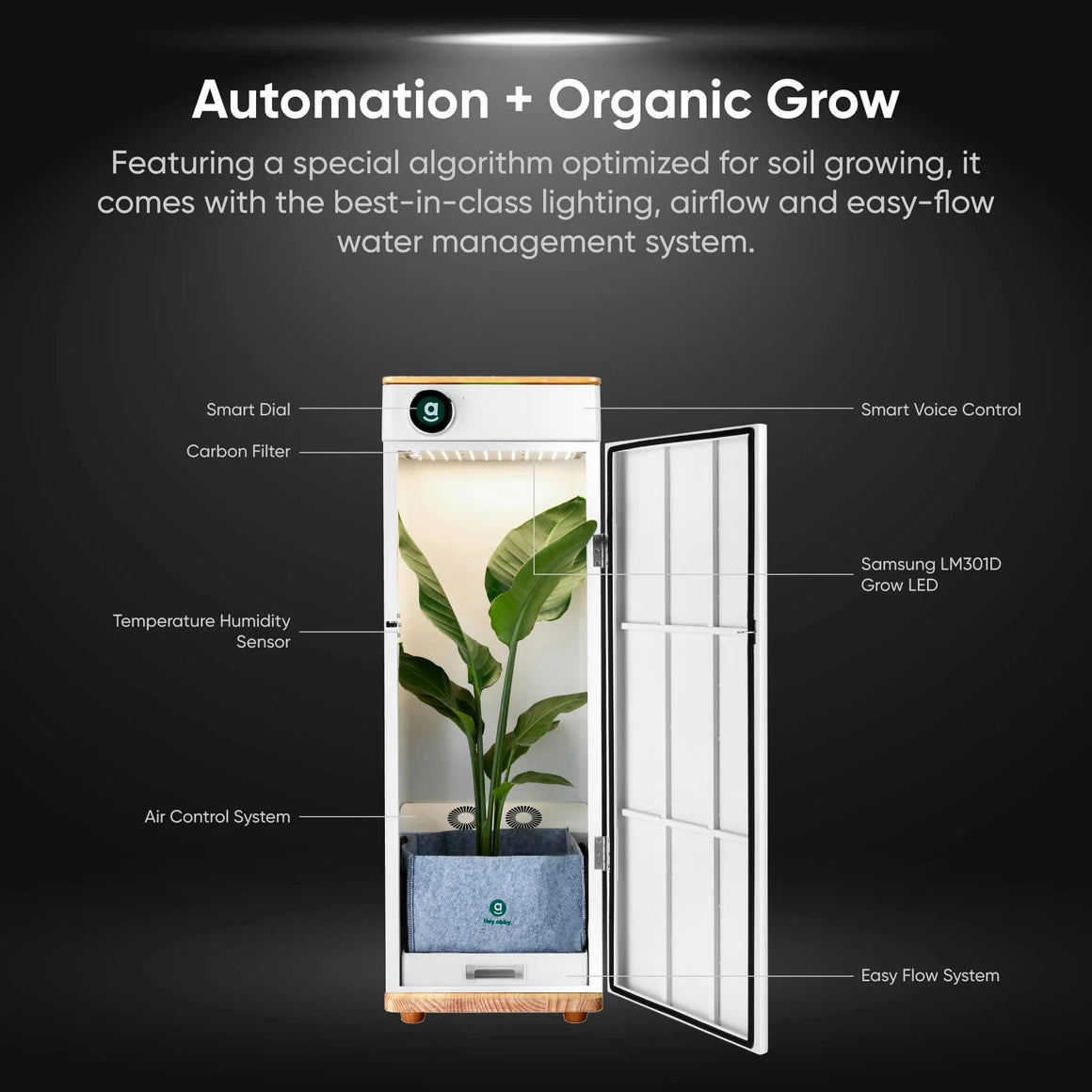 Hey abby Automated Grow Box Soil Edition