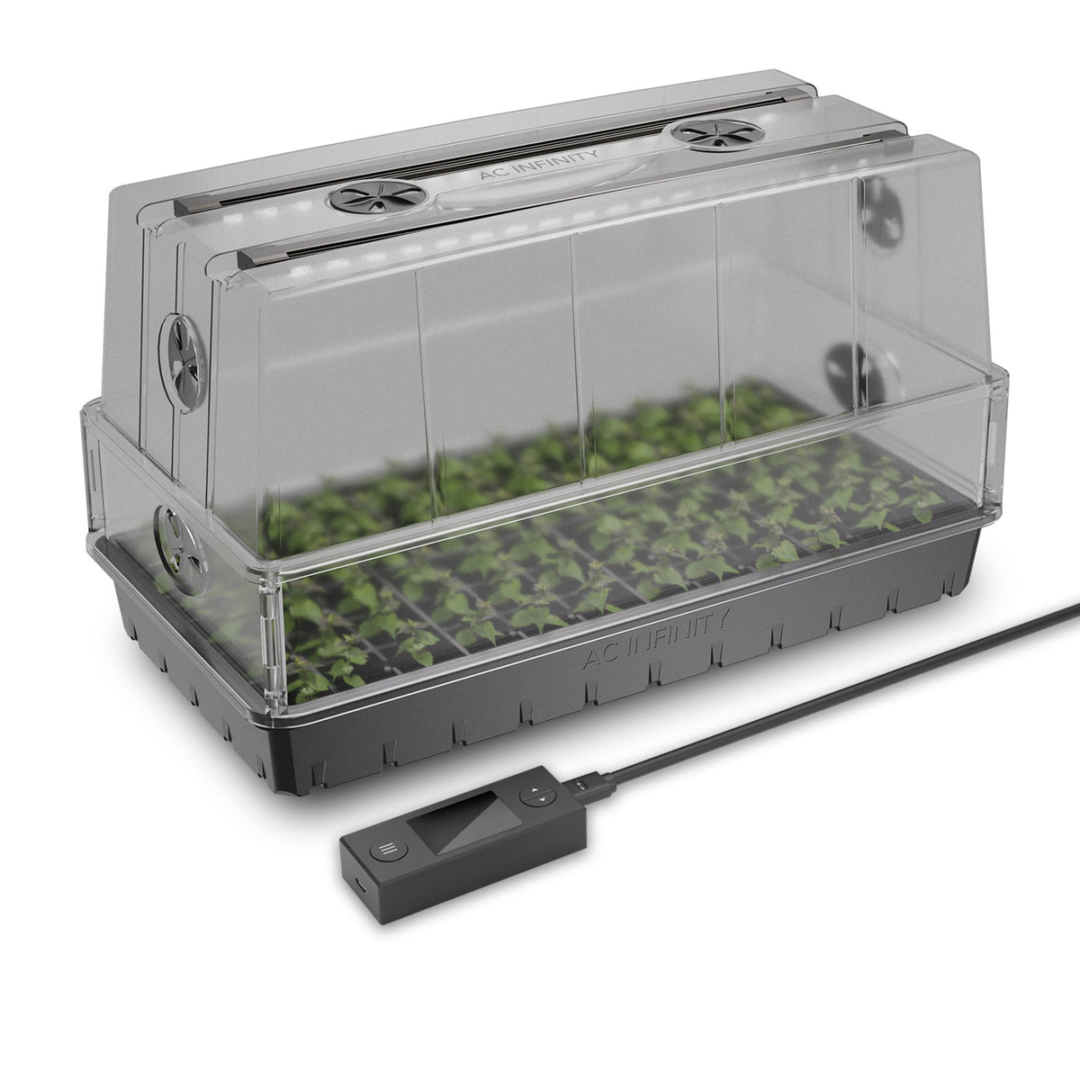 AC Infinity seed starting kit with clear humidity dome, LED grow lights, dark tray of green seedlings, and wired controller.