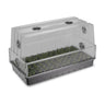 AC Infinity 6" x 12" Humidity Dome Propagation Kit