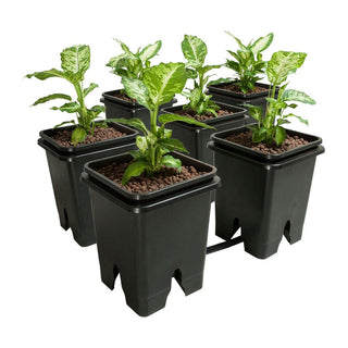 Ebb and Flow Systems