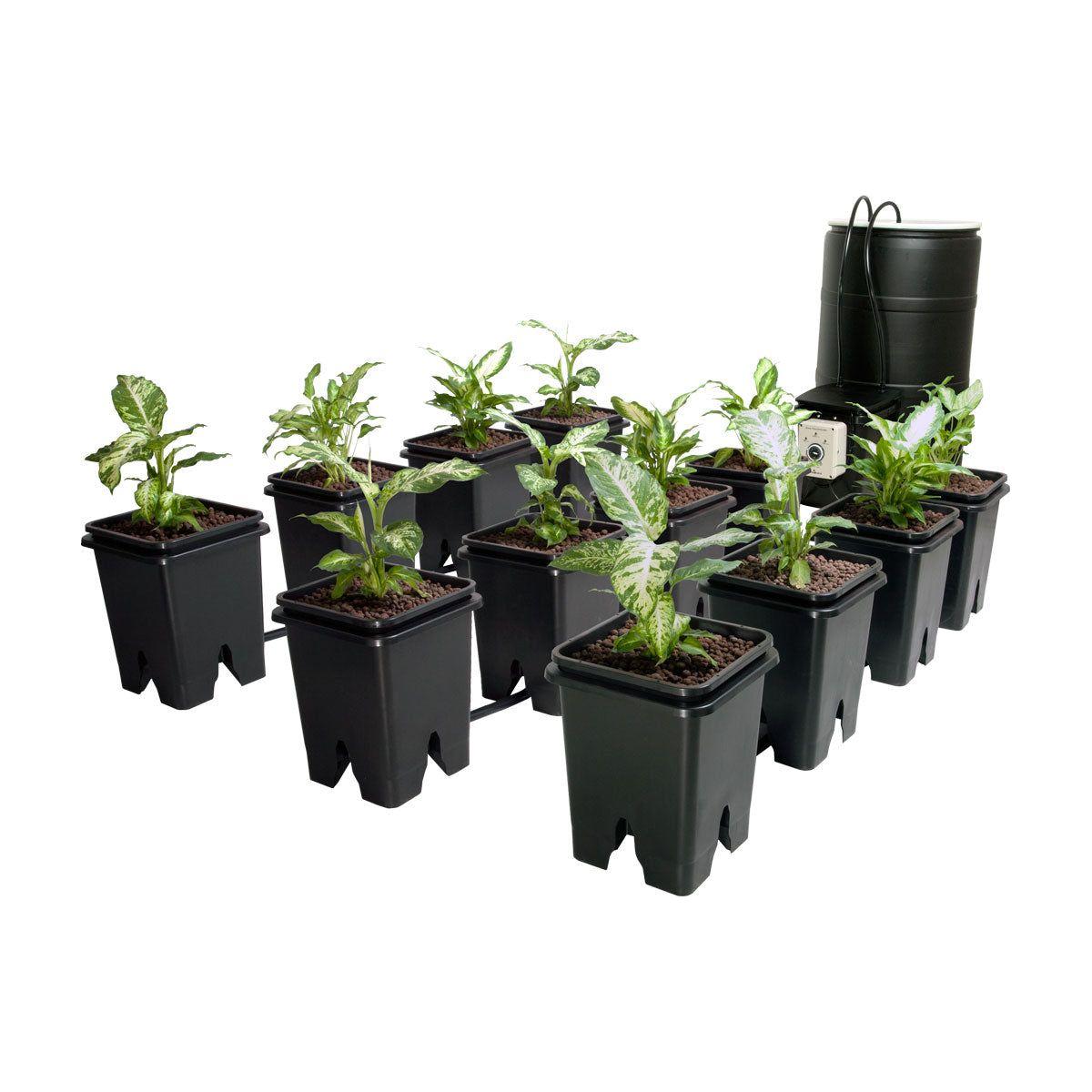 Hydroponic system with 10 potted plants, a reservoir, and tubing.