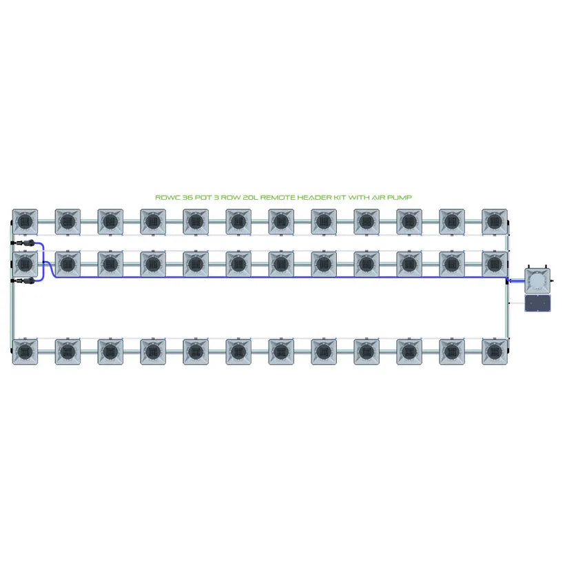 Overhead diagram of 36-pot, 3-row RDWC hydroponic system, showing square pots, blue tubing, remote header, pump.