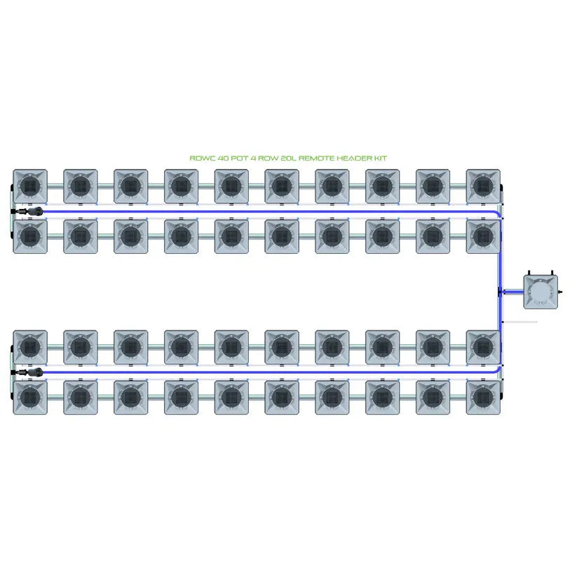 Diagram of a 40-pot, 4-row, 20L RDWC remote header hydroponic system featuring square pots and blue tubing.