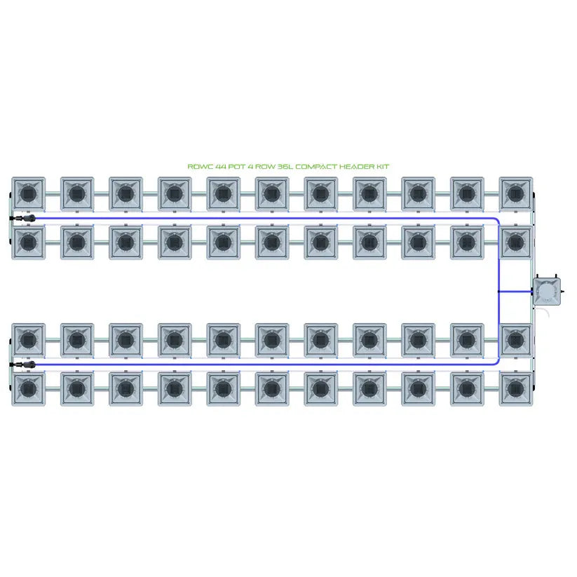 ROWC 44 Pot 4 Row 36L Compact Header hydroponic system diagram, showing square pots and blue tubing.