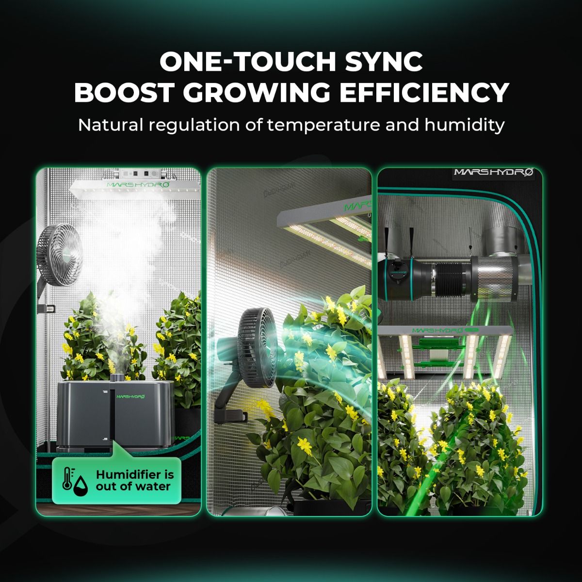 mars hydro tent instructions Mars Hydro TSW 2000 LED Grow Light