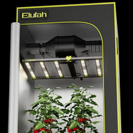 Elufah 2x4 LED grow light illuminates two tomato plants with red fruit inside a grow tent.