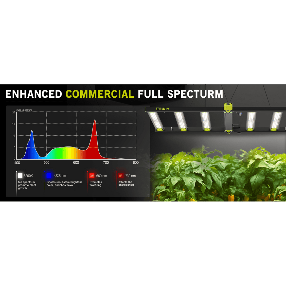 Elufah commercial LED grow light showing full spectrum graph and plants.