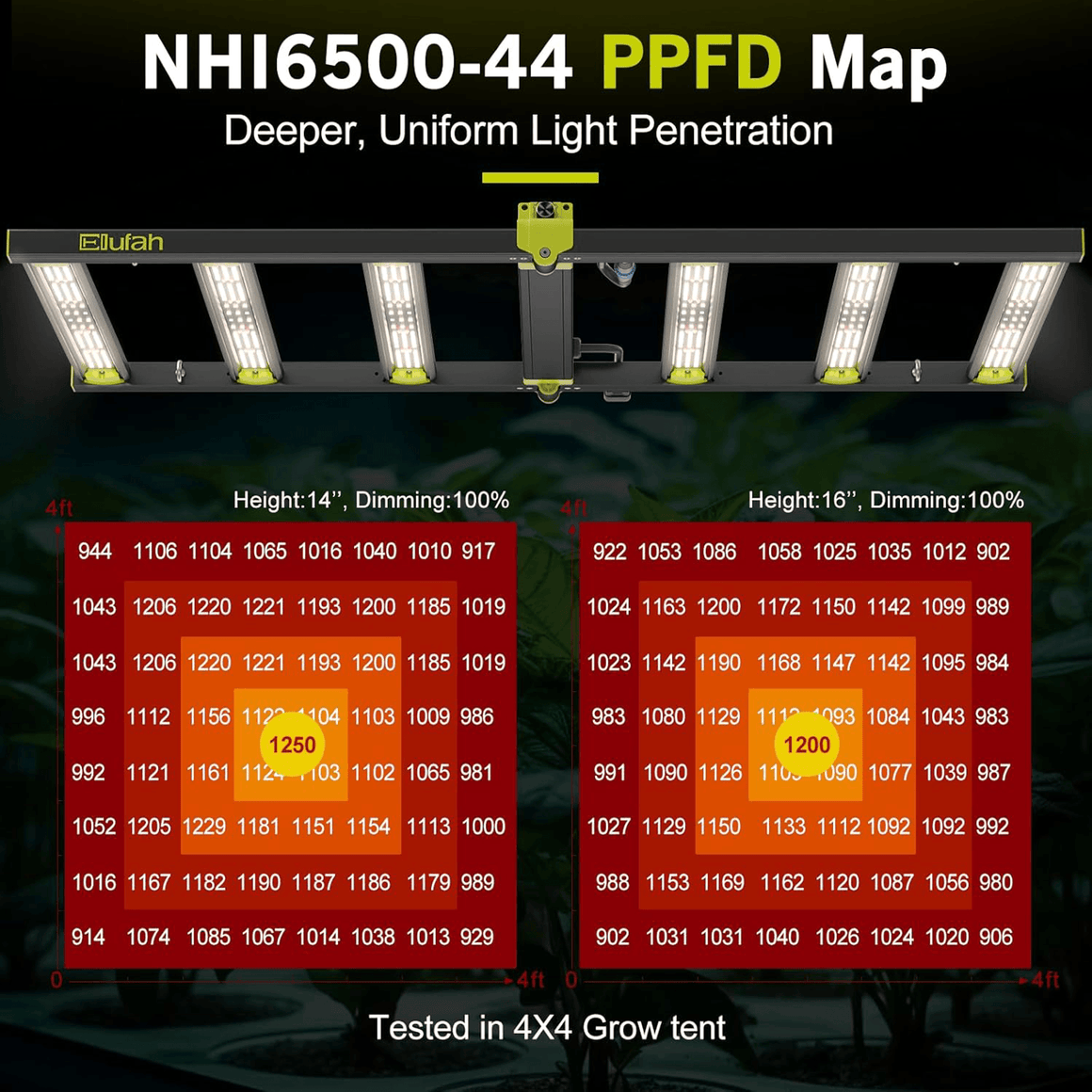 Elufah NHI6500 LED grow light PPFD map for 4x4 tent, 14" and 16" heights.
