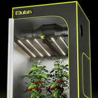 Elufah LED grow light tent with tomato plants.