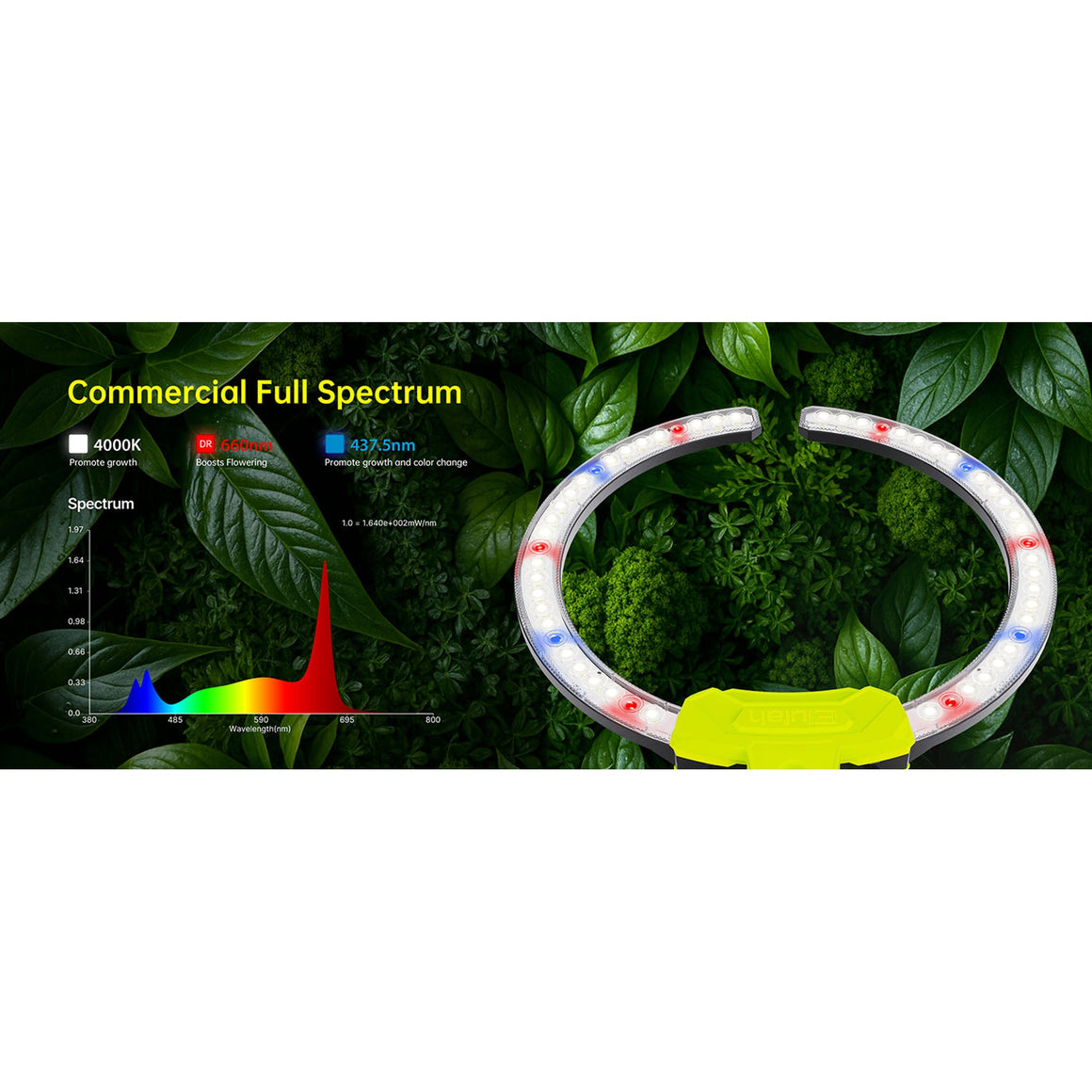 Commercial full spectrum LED grow light with spectrum chart & ring lights, designed for plant growth and flowering.