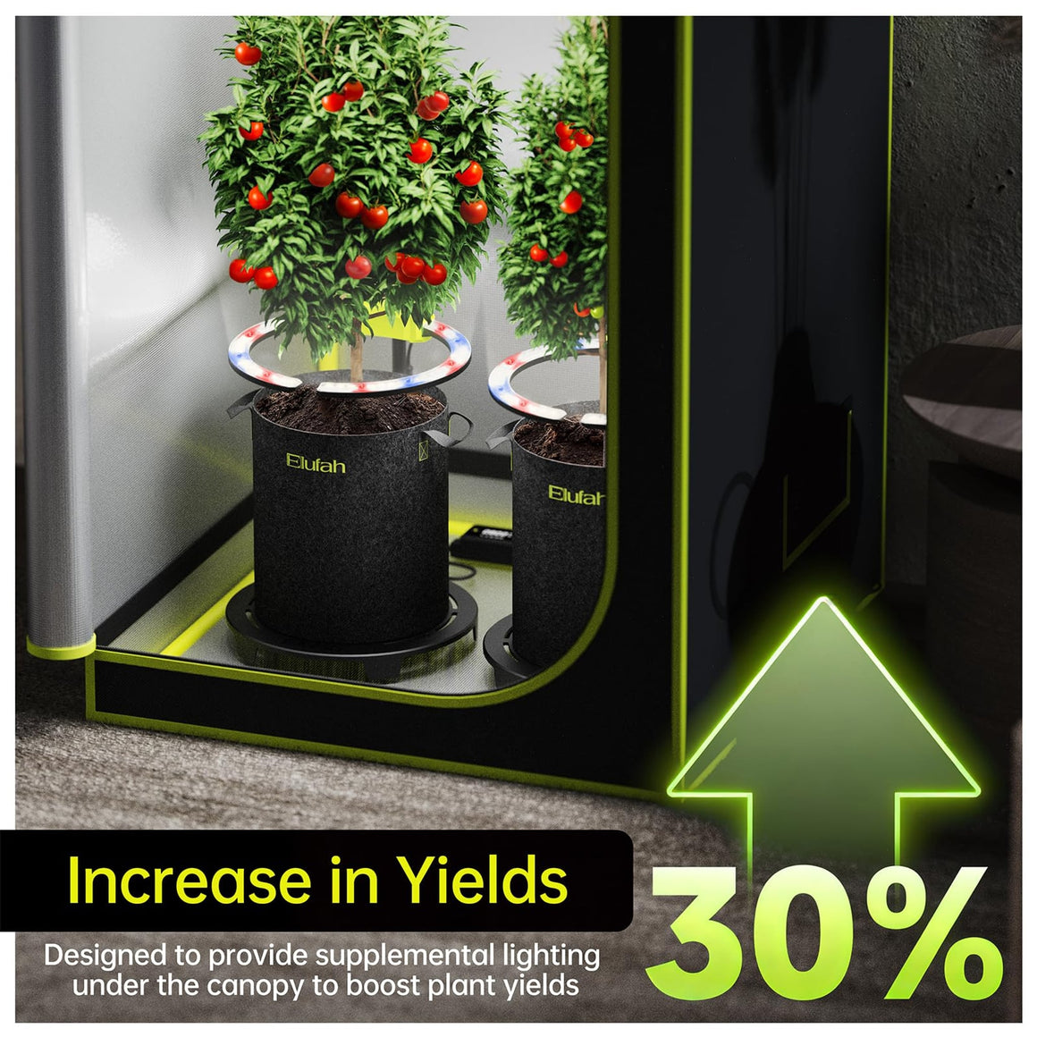 Elufah grow tent with two tomato plants, featuring under-canopy ring lights. Text: "Increase in Yields 30%."