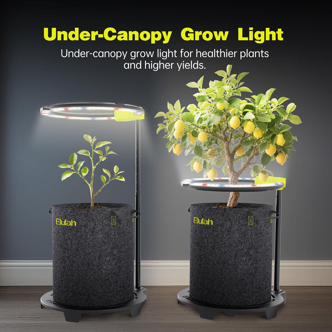 Elufah Saturn480 under-canopy LED grow light with two ring lights for indoor plants.
