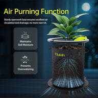 Plant in felt pot on base with air circulation, showing roots and water droplets.