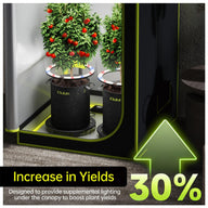 Tomato plants in grow tent with supplemental under-canopy LED lights, showing a 30% increase in yields.