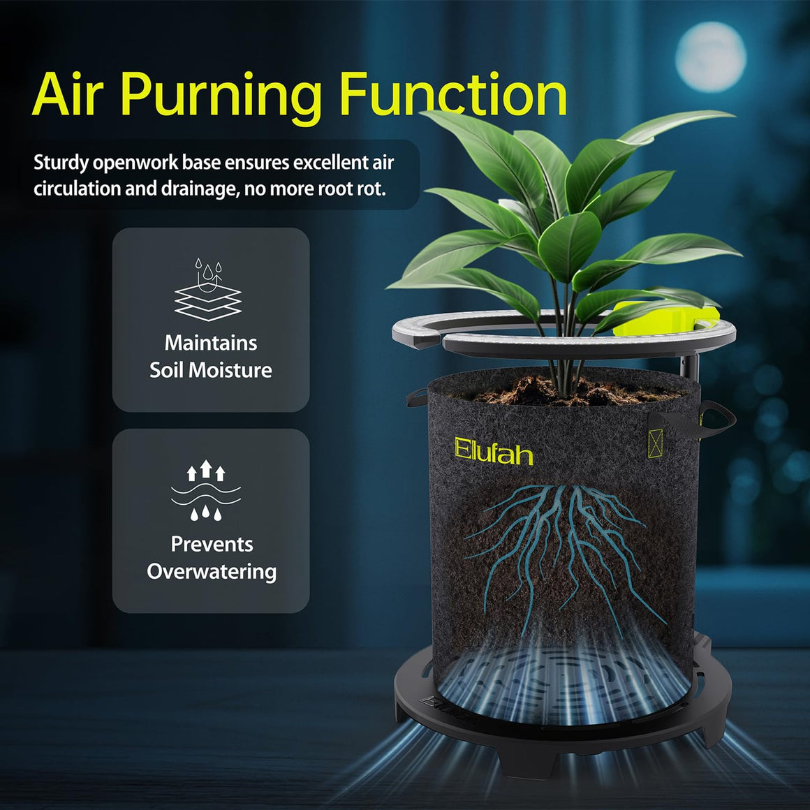 Plant in fabric pot with roots and air circulation. Text: "Air Purning Function", "Maintains Soil Moisture", "Prevents Overwatering".