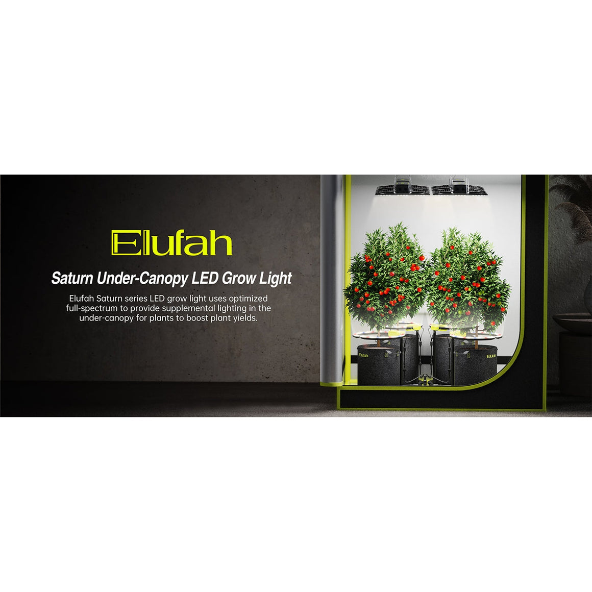 Elufah Saturn Under-Canopy LED Grow Light with two potted plants illuminated by the lights.
