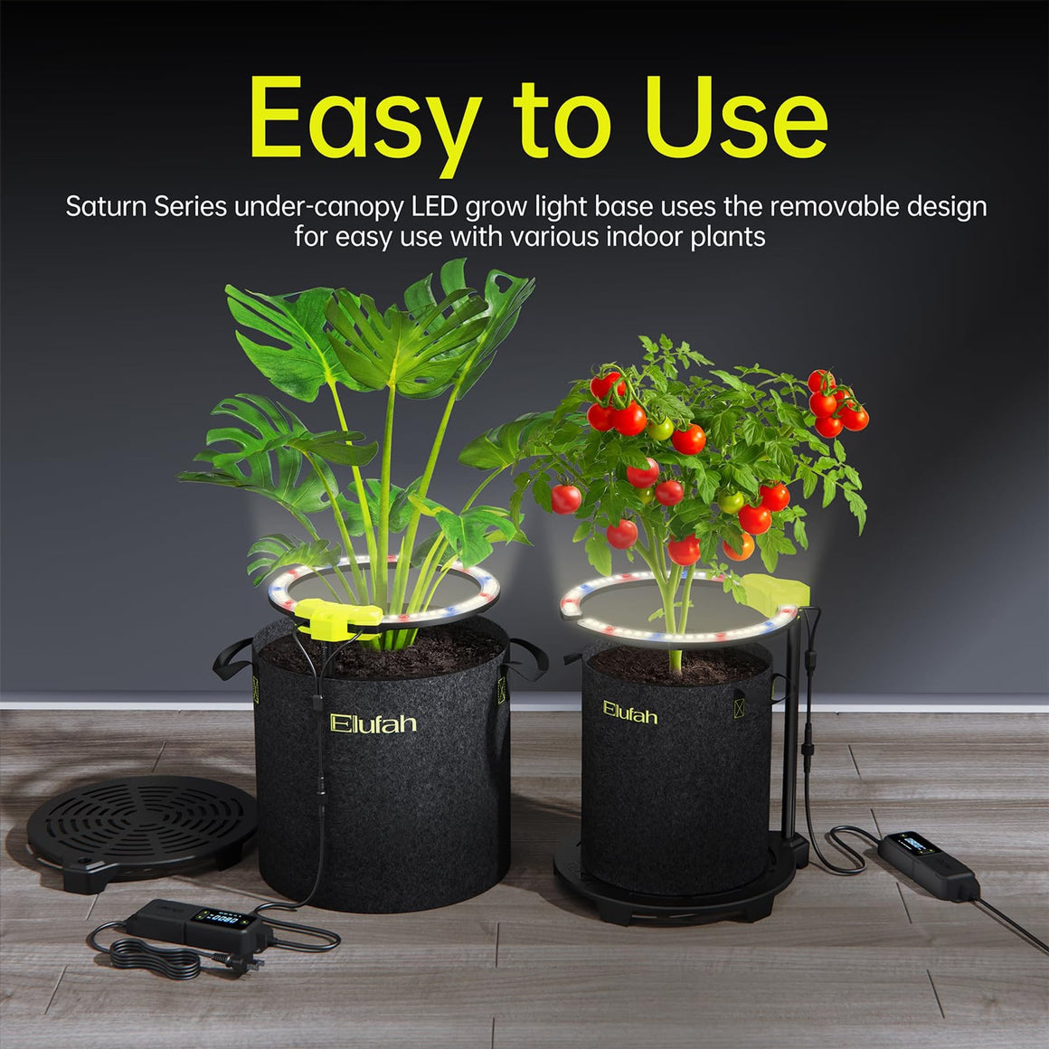Elufah Saturn Series under-canopy LED grow lights illuminate two indoor plants: a Monstera and a tomato plant.