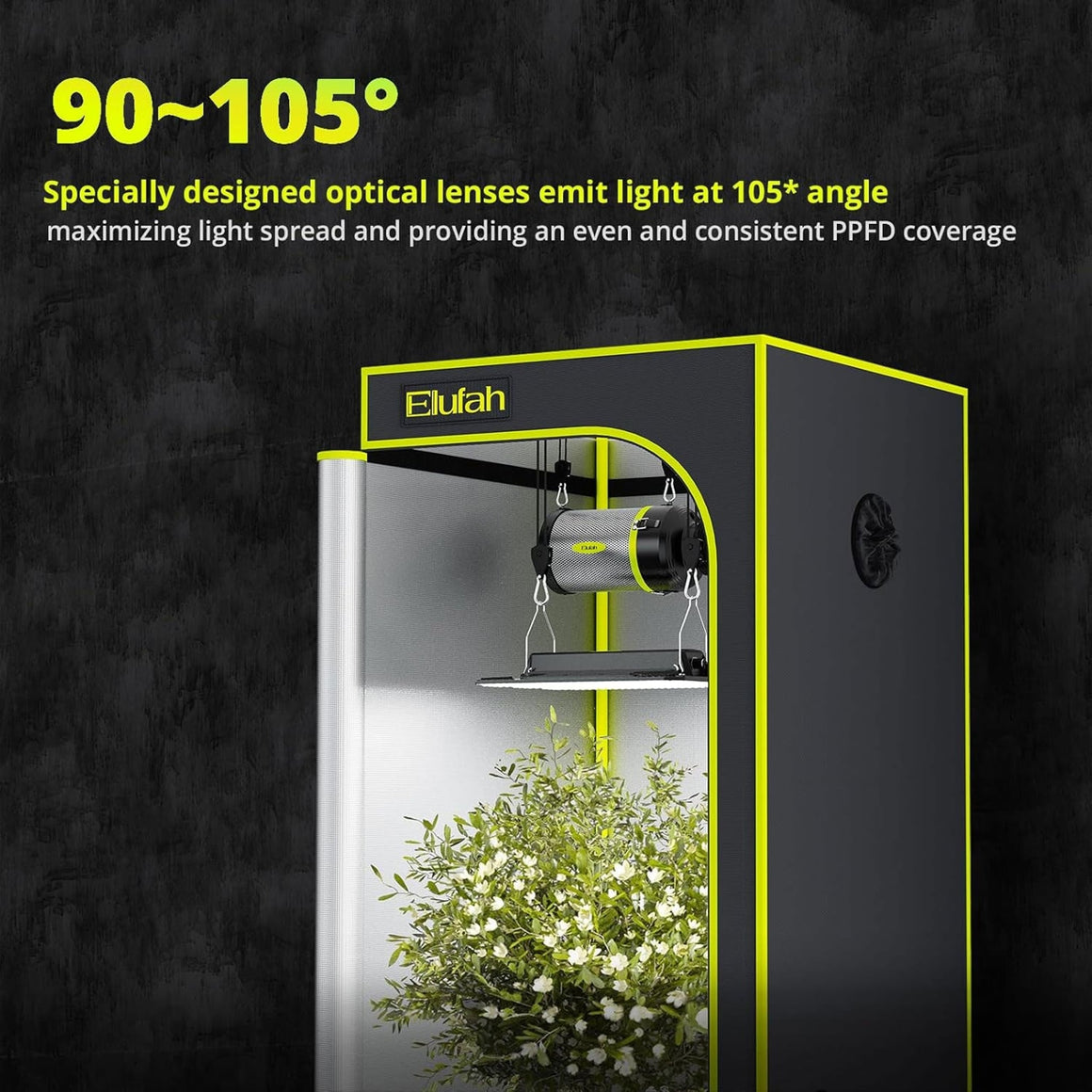 A plant inside a grow tent with a light.