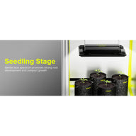 Elufah UAP1200 LED grow light over seedling pots in a grow tent, promoting root development.