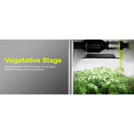 LED grow light illuminating healthy green tomato plants in vegetative stage.
