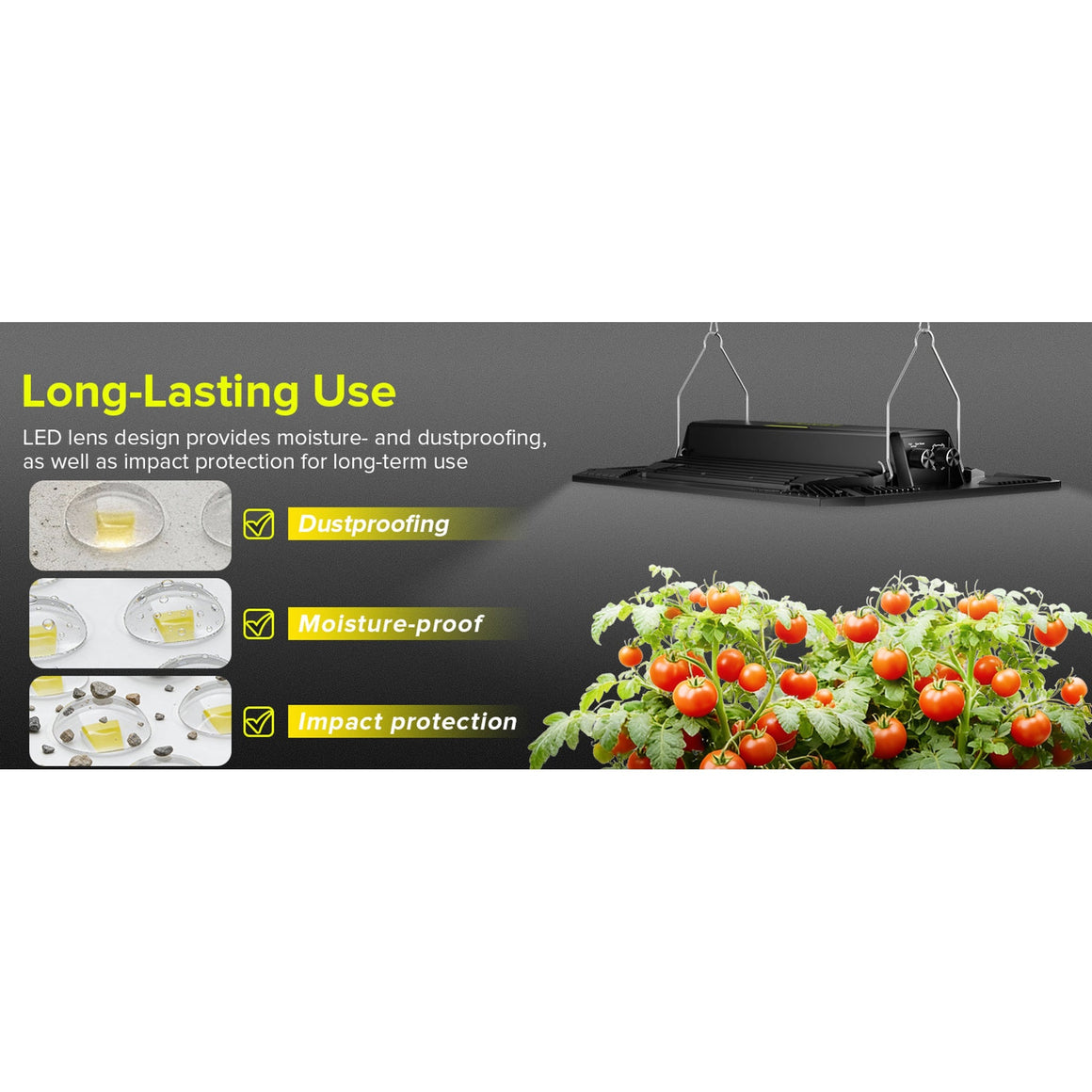 LED grow light with tomatoes: dustproof, moisture-proof, and impact-protected lens design.