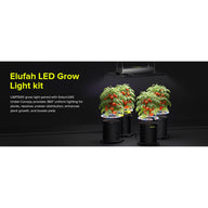 Elufah UAP1500 LED grow light illuminates three tomato plants in pots with a Saturn240 light providing 360° coverage.