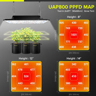 Elufah UAP800 LED grow light PPFD map for 2x2ft tent at 8