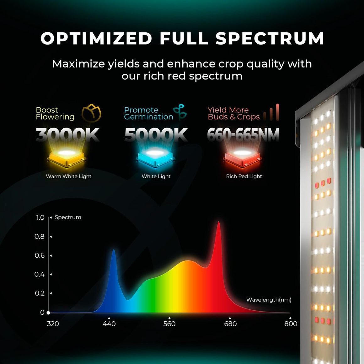 Full spectrum LED grow light with 3000K, 5000K, and 660-665nm wavelengths.