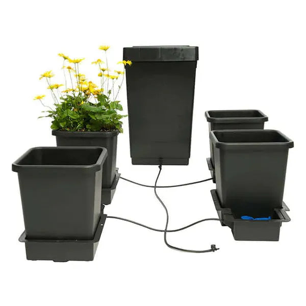 Happy Hydro Happy Hydro Automated Grow Tent Kit 4 | Plant 4’ x 4’ x 6’8"