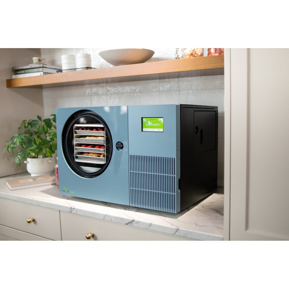 Pale blue Countertop 360 freeze dryer on a marble counter next to a potted plant and a wooden cutting board