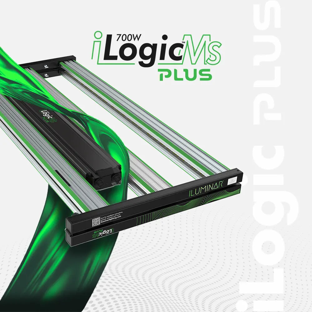 ILUMINAR iLogicMs PLUS 700W LED grow light, full spectrum for plants, with green accents & sleek bar design.