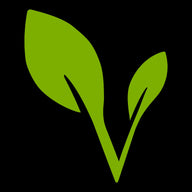 Green vegan symbol of two leaves on a black background.