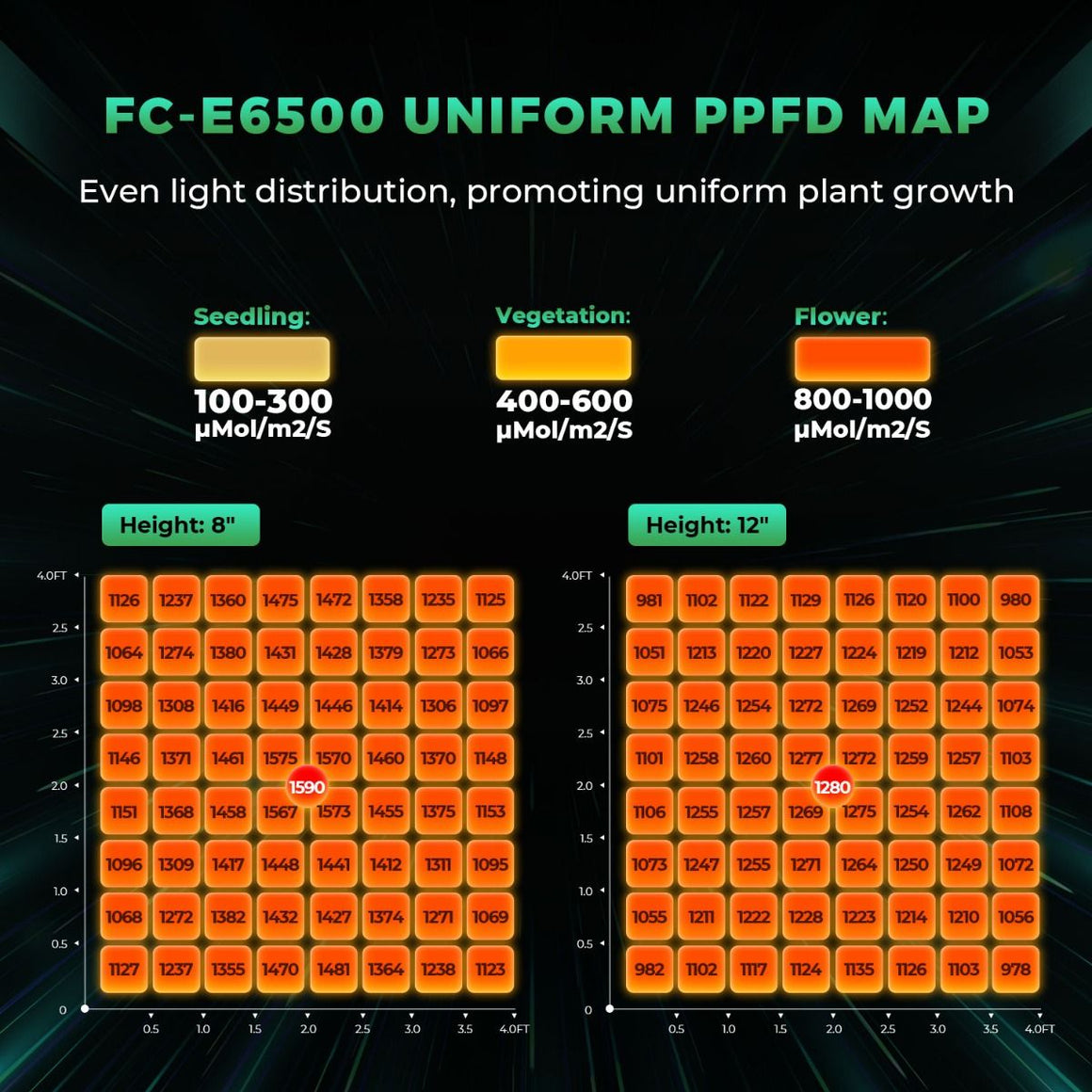 FC-E6500 LED grow light PPFD map showing uniform light distribution for seedling, vegetation, and flower stages at different heights.