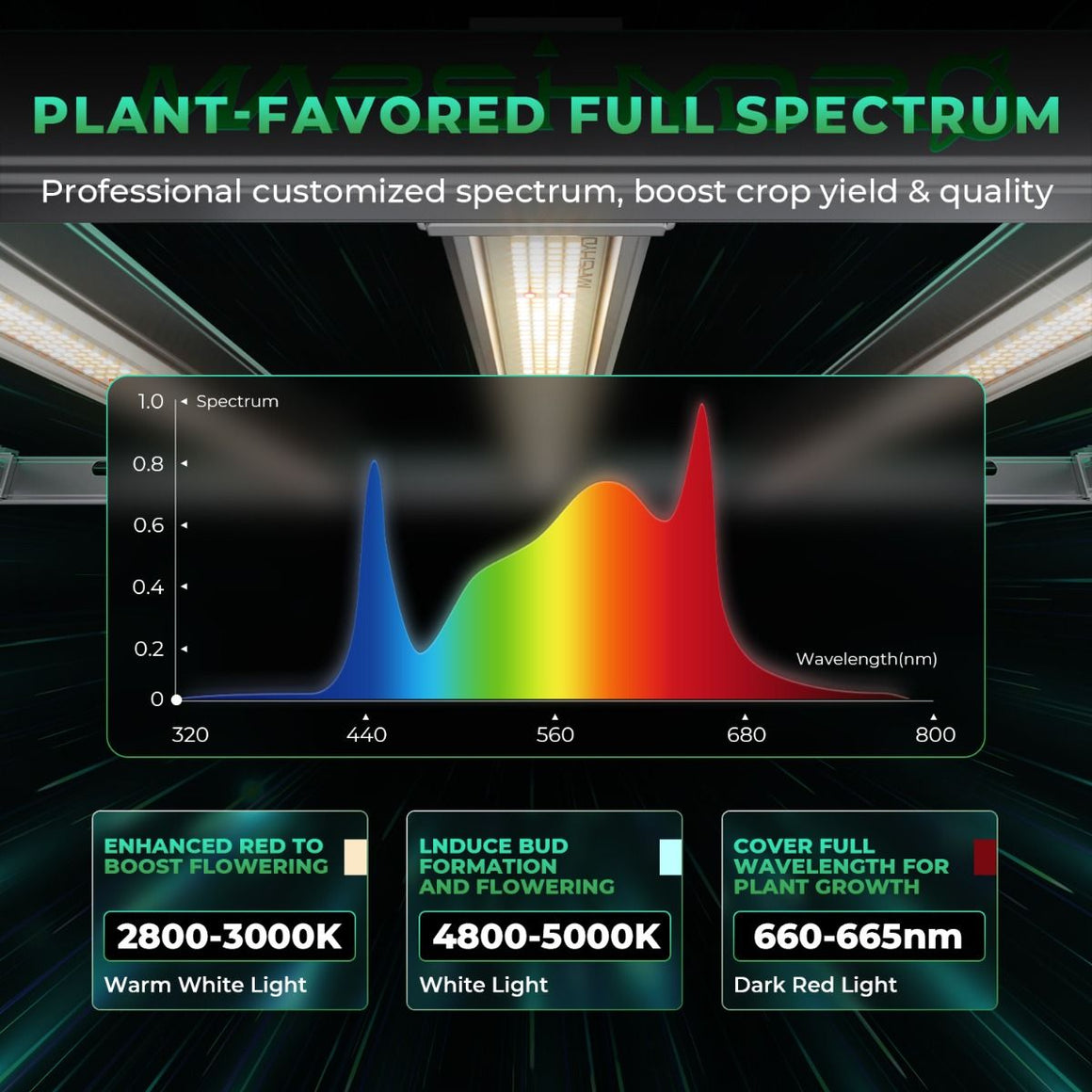 Plant grow light spectrum graph showing full spectrum, enhanced red, and dark red light for plant growth.