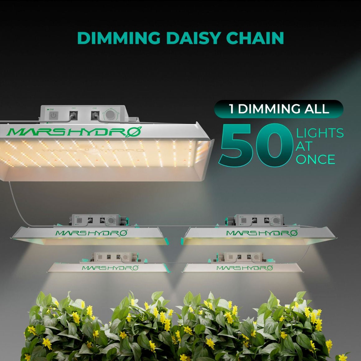 Mars Hydro TS 1000 Full Spectrum LED Grow Light